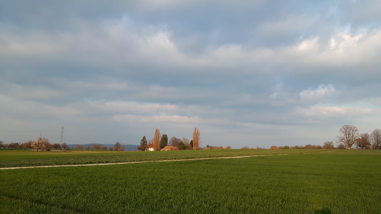 Mybednbreakfast In Bottmingen Bed and Breakfast Eksteriør billede