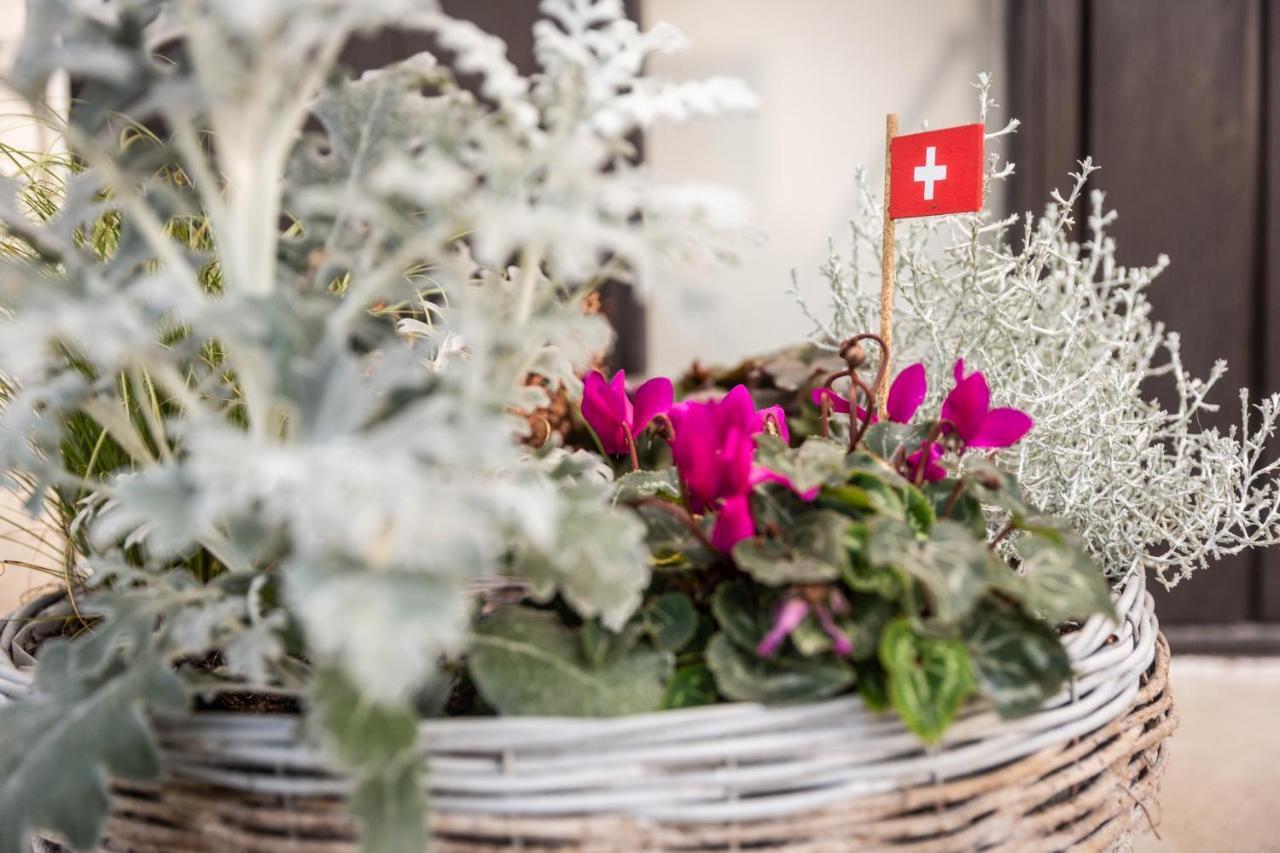 Mybednbreakfast In Bottmingen Bed and Breakfast Eksteriør billede
